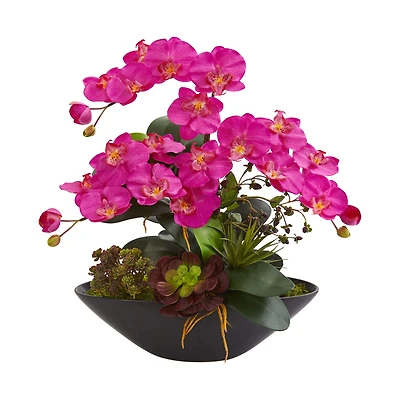 21" Moth Orchid & Mixed Succulent Garden in Black Vase