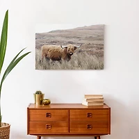 Highland Cow Landscape 24" x 16" Canvas Wall Art