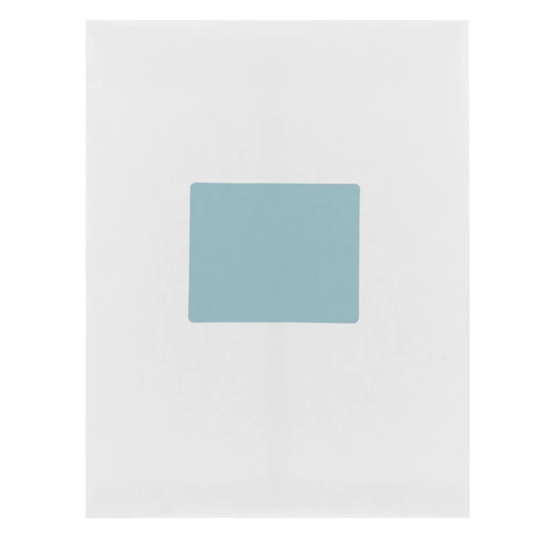 JAM Paper Adhesive Shipping Labels