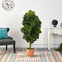 5ft. Umbrella Tree in Terra Cotta Planter