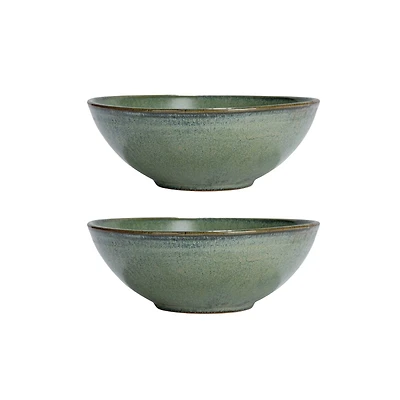 Hello Honey® 8" Matte Teal Stoneware Bowl with Reactive Glaze, 2ct.
