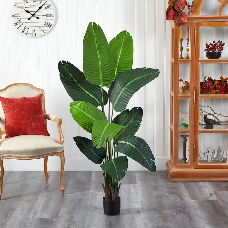 5ft. Potted Travelers Palm Tree