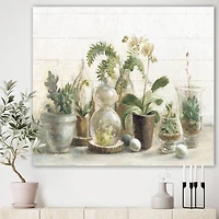 Designart - Greenhouse Orchids