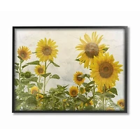 Stupell Industries Sunflower Garden Farm with Black Frame Wall Accent