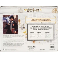 PaintWorks™ Harry & Hedwig Paint by Number Kit