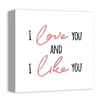 I Love You and I Like You Canvas Art