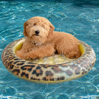PoolCandy 36" Leopard Pet Float