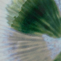 Hello Honey® 11.5" Green & White Stoneware Bowl with Reactive Crackle Glaze