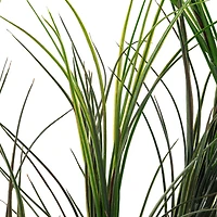 Assorted Green Grass Bush by Ashland®