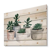 Designart - Cactus and Succulent House Plants VI