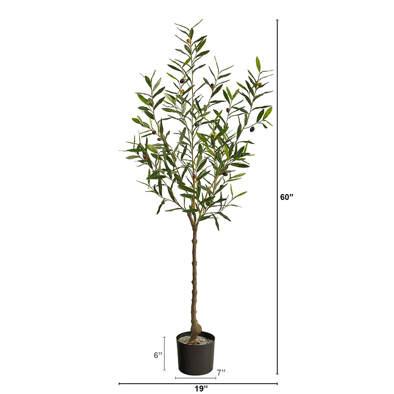 5ft. Potted Olive Tree