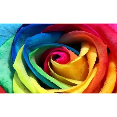 Sparkly Selections Colorful Rose Diamond Painting Kit