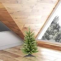 2ft. Unlit Fraser Fir Artificial Christmas Tree
