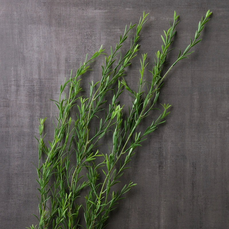 12 Pack: Green Trailing Grass Spray by Ashland®