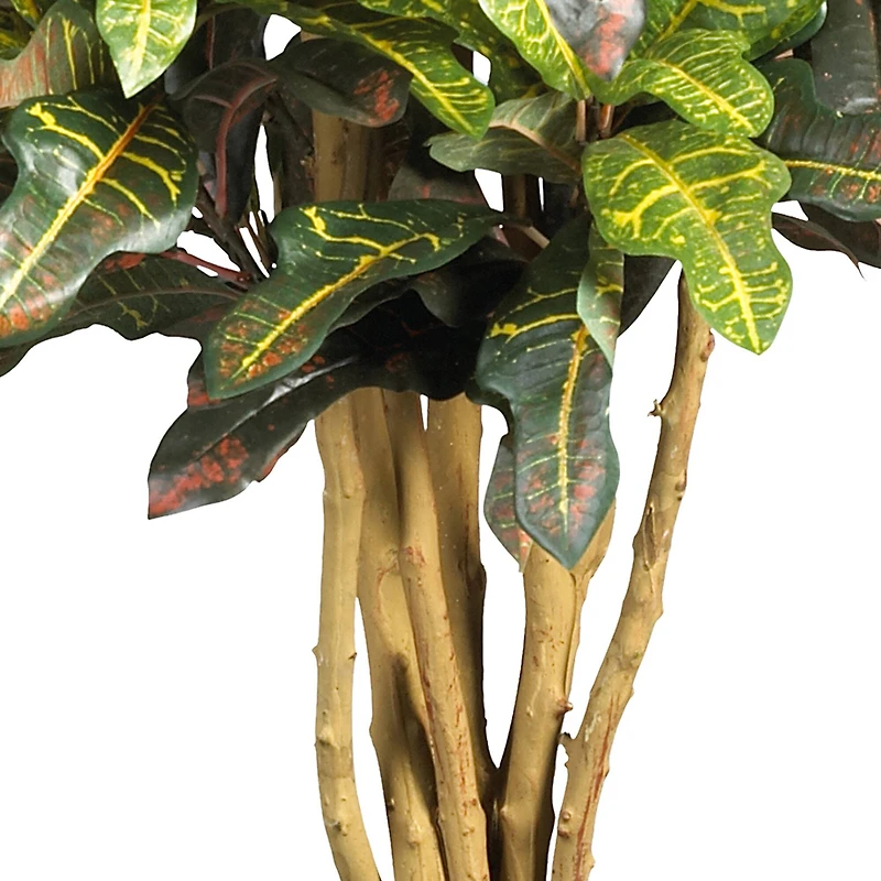 3ft. Potted Croton Tree