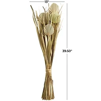 40" Green Dried Plant Bouquet Grass Natural Foliage with Fan Like Palm Leaves