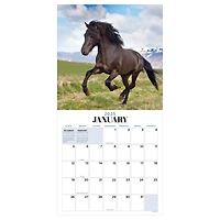 TF Publishing 2025 Horses Wall Calendar