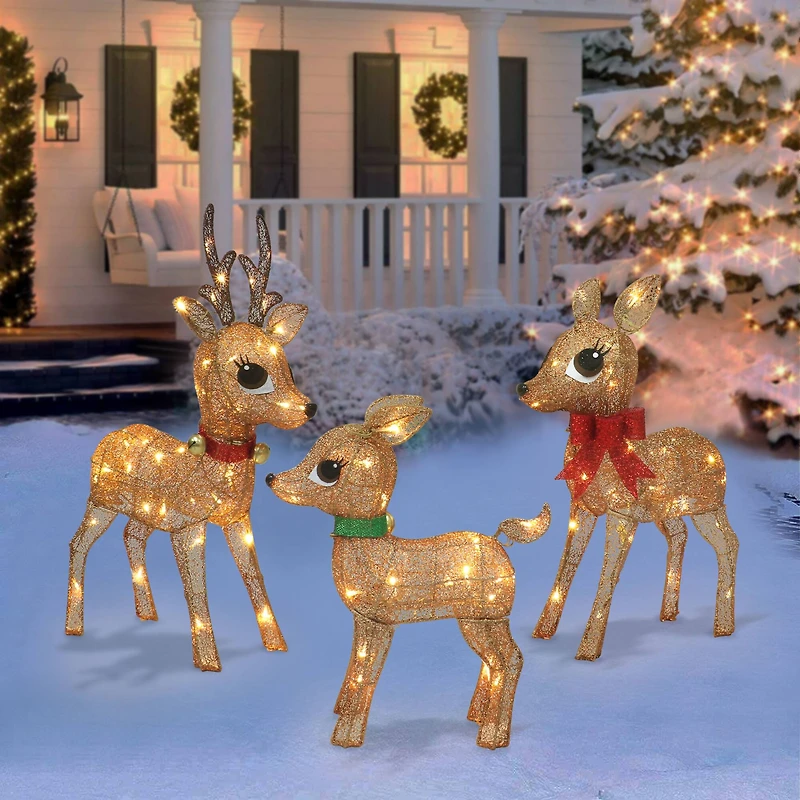 Lighted Outdoor Wire Frame Deer Set