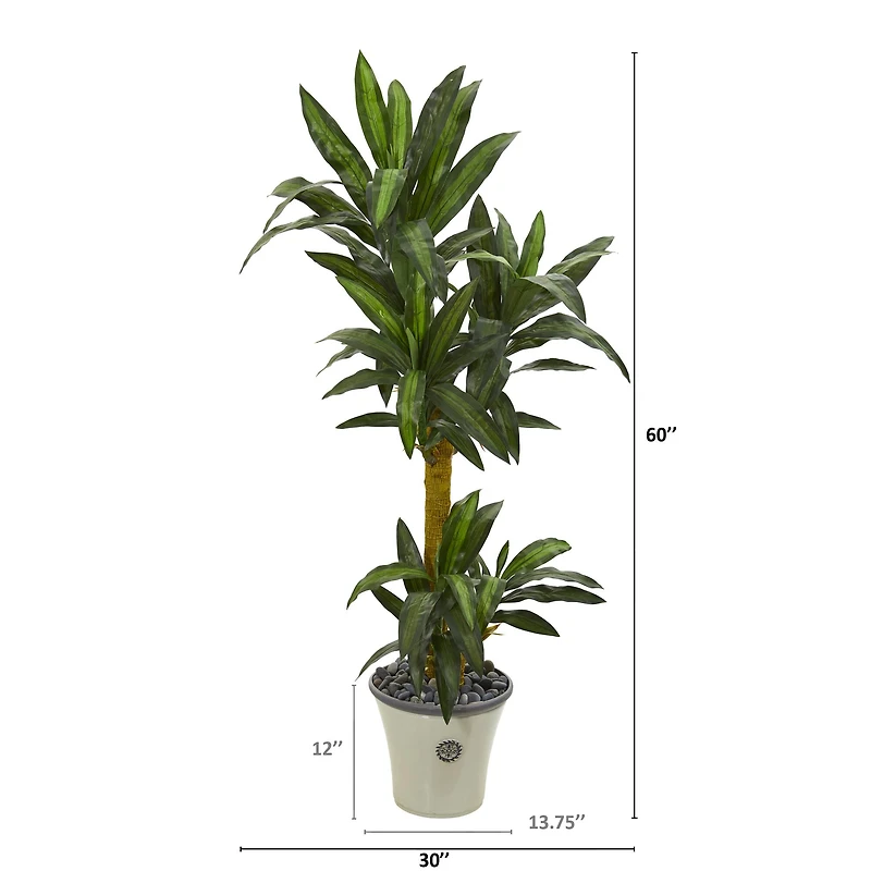 5ft. Yucca Plant in Decorative Planter