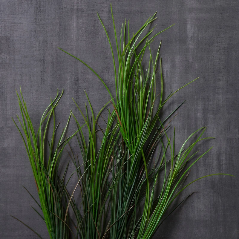 Assorted Green Grass Bush by Ashland®