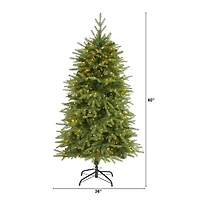 5ft. Pre-Lit Vancouver Fir Natural Look Artificial Christmas Tree with Clear LED Lights