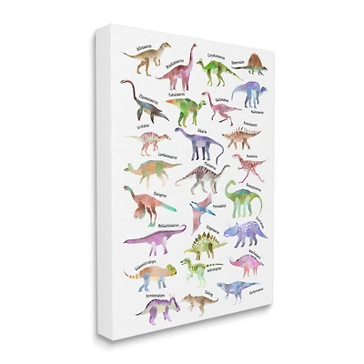 Stupell Industries Pink Watercolor Dinosaur Chart Whimsical Reptiles Canvas Wall Art