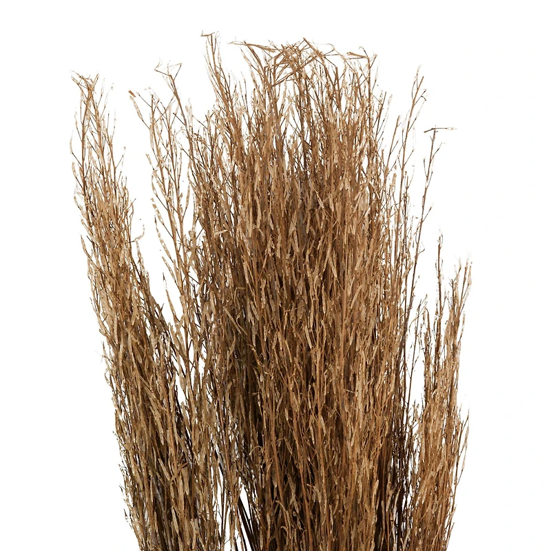 42" Brown Dried Natural Mustard Plant Foliage