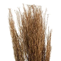 42" Brown Dried Natural Mustard Plant Foliage