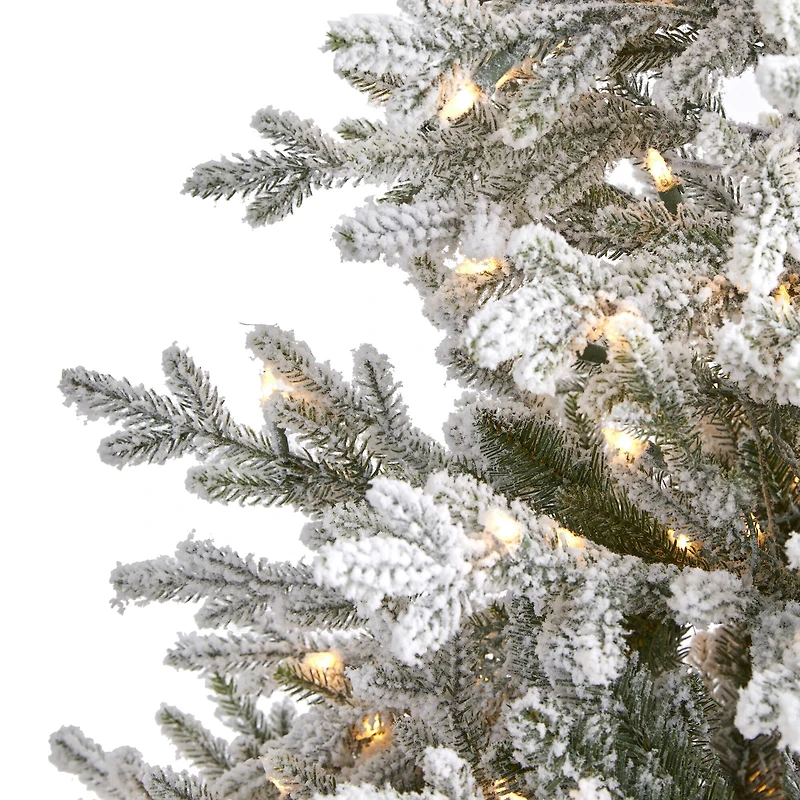 6ft. Pre-Lit Flocked Fraser Fir Artificial Christmas Tree with Warm White LED Lights