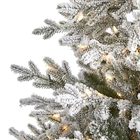 6ft. Pre-Lit Flocked Fraser Fir Artificial Christmas Tree with Warm White LED Lights