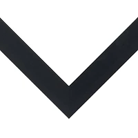 WallsThatSpeak Vertically or Horizontally Hanging Black 11" x 14" Picture Frame with Glass