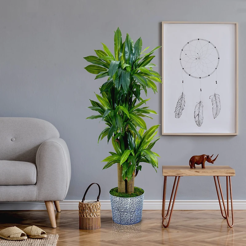 4.5ft. Corn Stalk Dracaena in Black Embossed Tin Planter