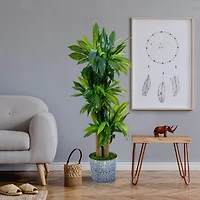 4.5ft. Corn Stalk Dracaena in Black Embossed Tin Planter