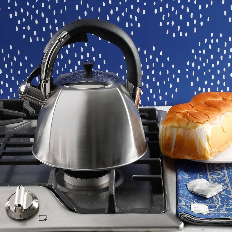 Mr. Coffee Belgrove 2.5qt. Brushed Stainless Steel Whistling Tea Kettle with Nylon Handle