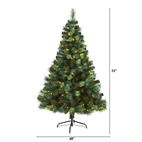 6ft. Pre-Lit Mixed Green Scotch Pine Artificial Christmas Tree with LED Lights