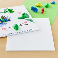 8 Packs: 5 ct. (40 total) 8" x 10" Foam Boards