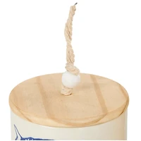 Blue & White Ceramic Fish Canisters Set