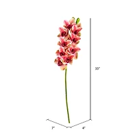 Purple Boat Orchid Stem