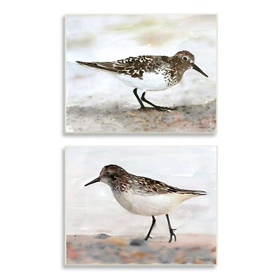 Stupell Industries Sandpipers on Coast Nautical Bird Beach Scene Wood Wall Plaque