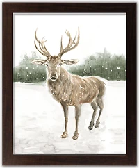 Winter Deer Walnut Framed Print Under Plexiglass