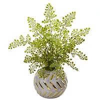 17" Maidenhair in Decorative Vase