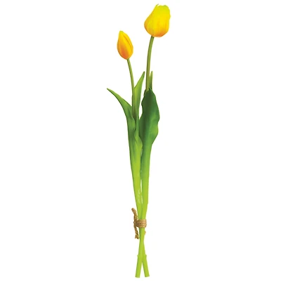 Yellow Tulip Bundle