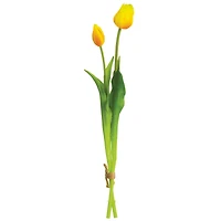 Yellow Tulip Bundle