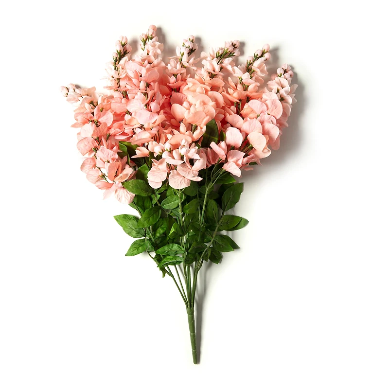 10 Pack: Coral Wisteria Bush by Ashland®