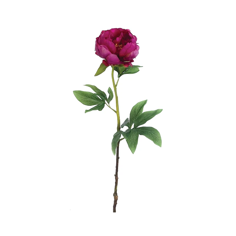 Magenta Peony Stem