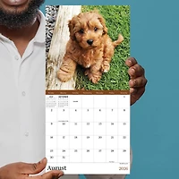 2026 Puppies Mini Calendar