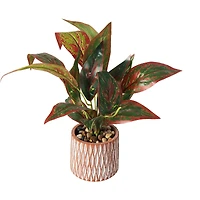 14" Croton Artificial Plant with Geometric Patterned Pot