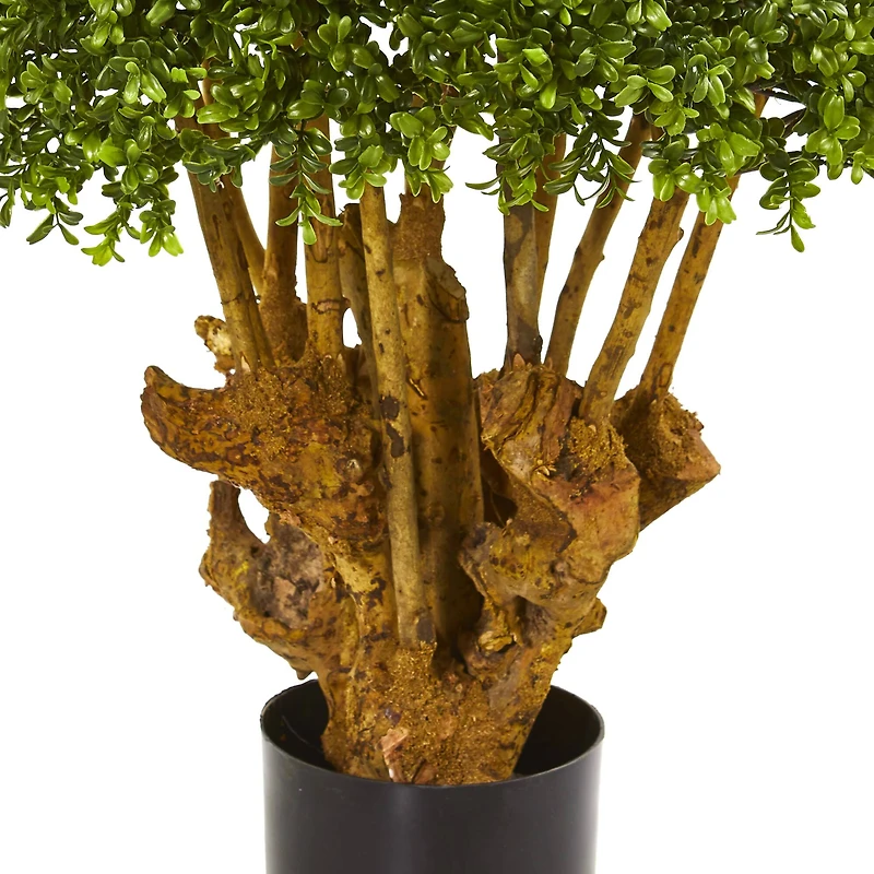 3ft. Potted Boxwood Topiary Tree