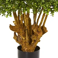 3ft. Potted Boxwood Topiary Tree 