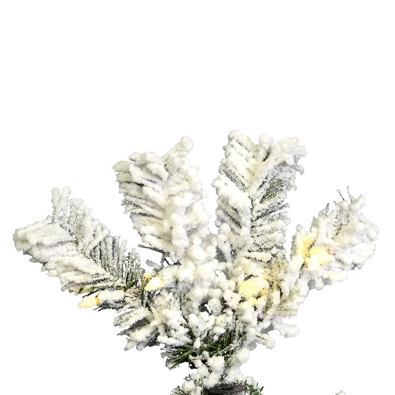5.5ft. Pre-Lit Flocked Pacific Pine Artificial Christmas Tree, Pure White LED Lights